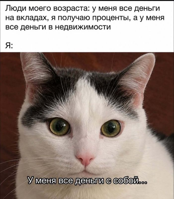�������� ������ �������� ��� ���������� (35 ����)