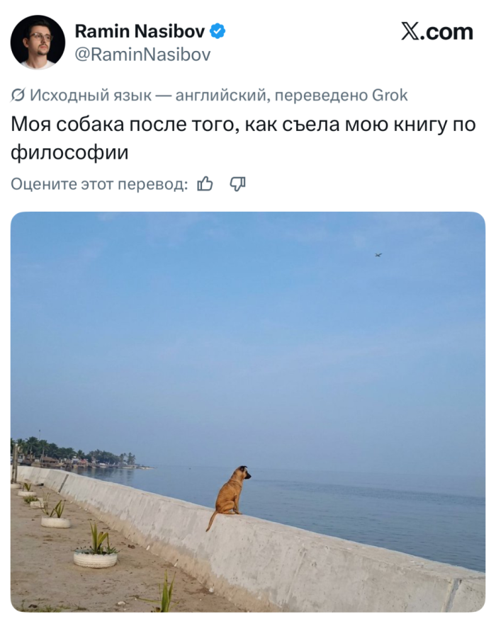 �������� ������ �������� ��� ���������� (35 ����)