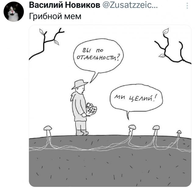 �������� ������ �������� ��� ���������� (35 ����)