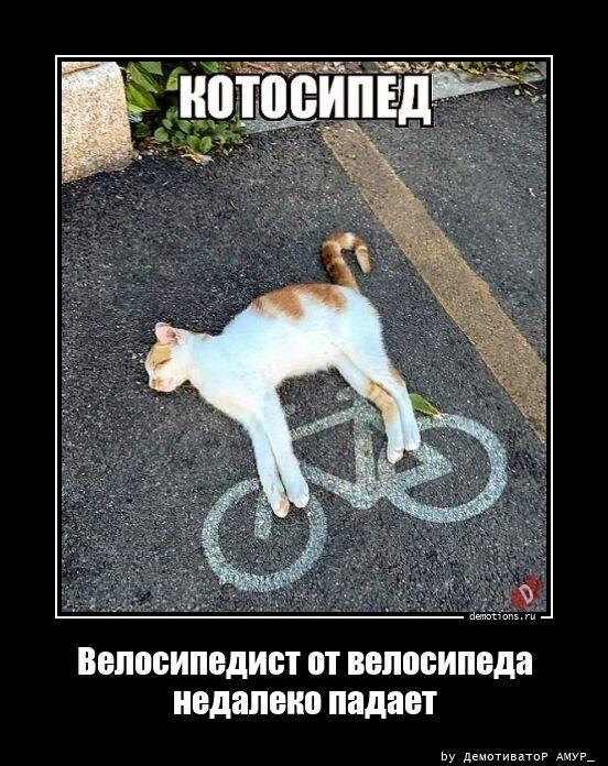 ������������ ������������ (23 ����)