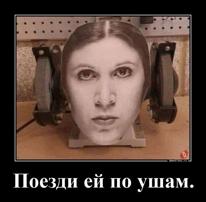 ������������ ������������ (23 ����)