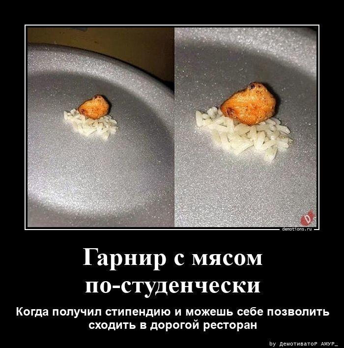 ������������ ������������ (23 ����)