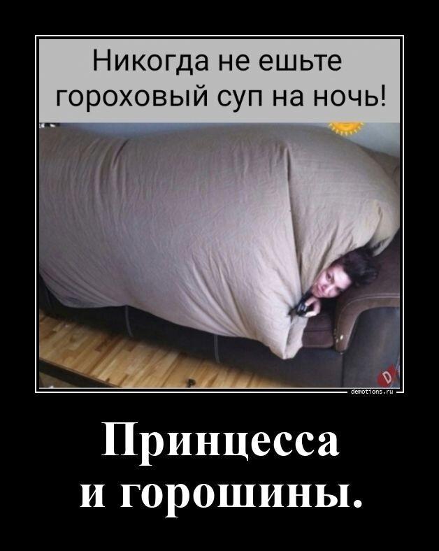 ������������ ������������ (23 ����)