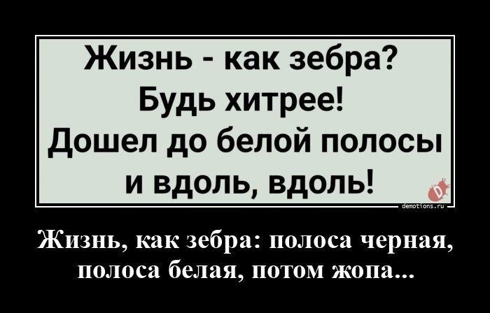 ������������ ������������ (23 ����)