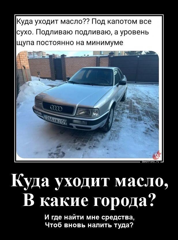 ������������ ������������ (23 ����)