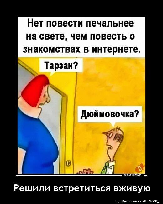 ������������ ������������ (23 ����)