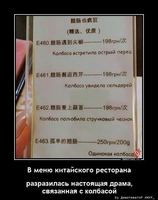 ������������ ������������ (23 ����)