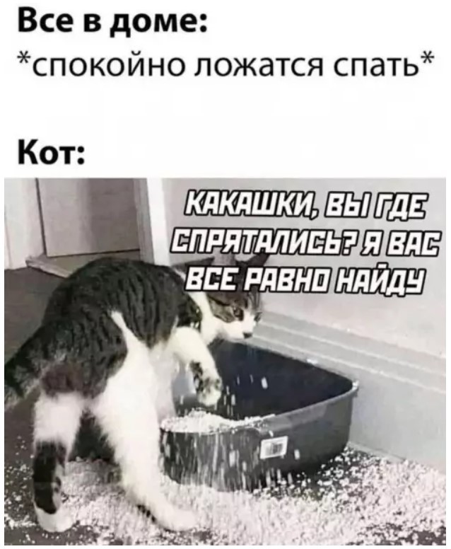 ������� ������ ����� ��� ���������� (35 ����)