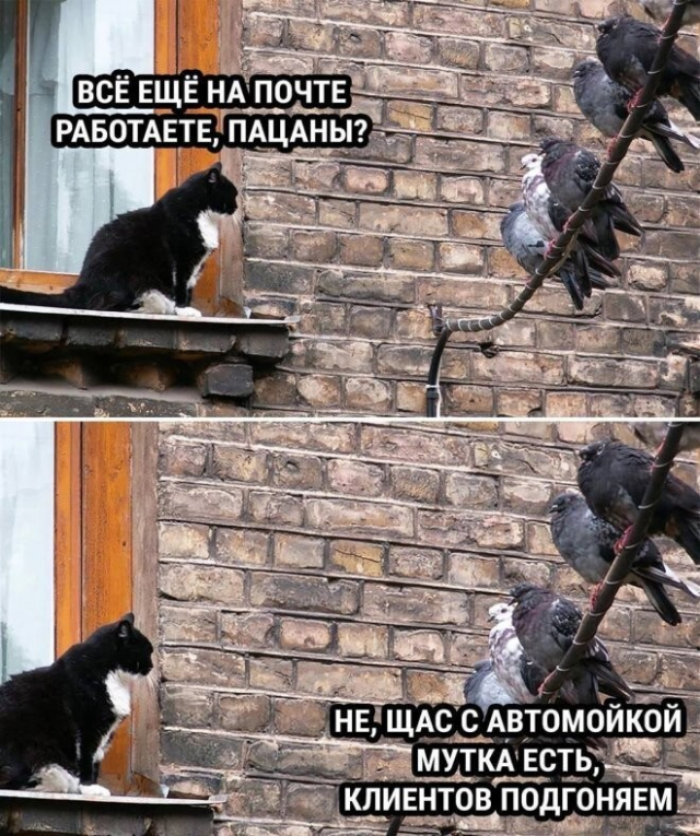������� ������ ����� ��� ���������� (35 ����)