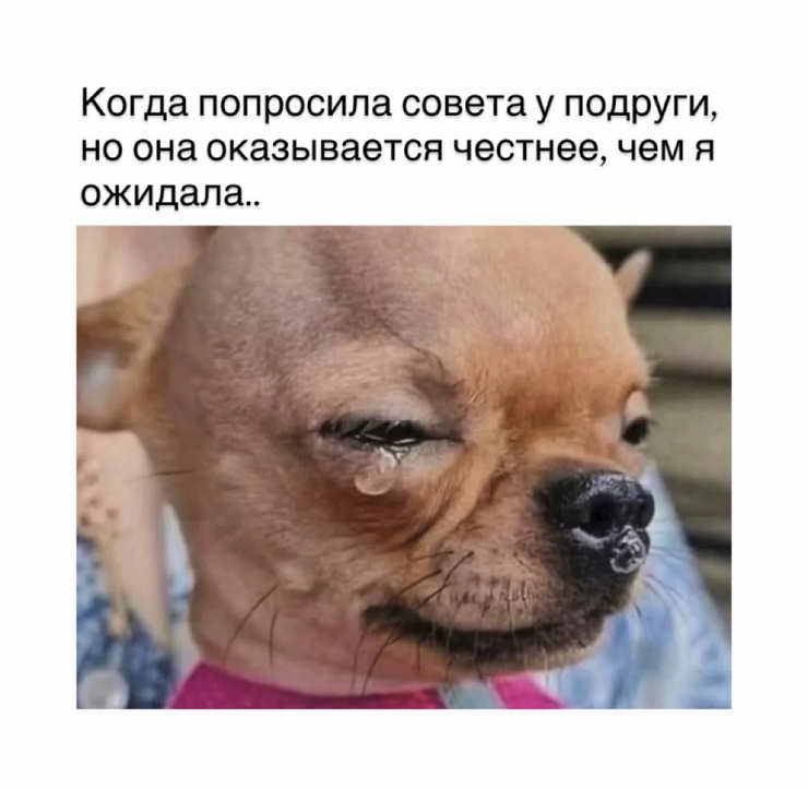 ������� ������ ����� ��� ���������� (35 ����)