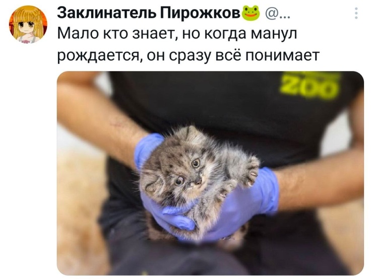 ������� ������ ����� ��� ���������� (35 ����)