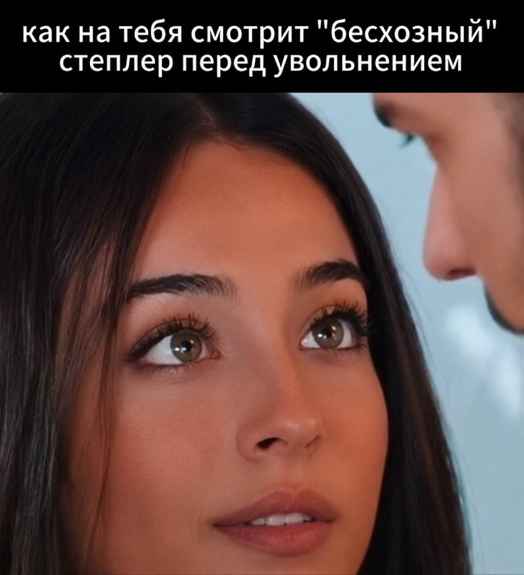 ������� ������ ����� ��� ���������� (35 ����)
