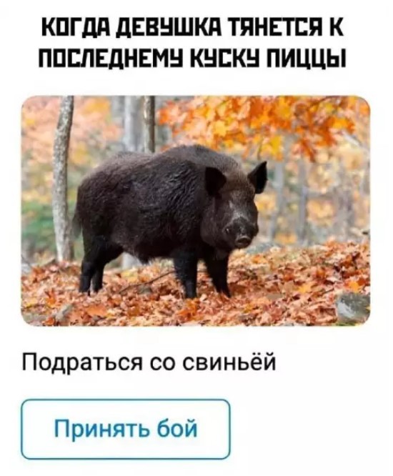 ������� ������ ����� ��� ���������� (35 ����)