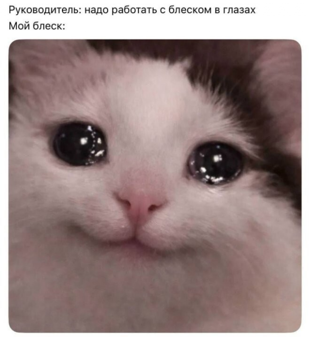 ������� ������ ����� ��� ���������� (35 ����)