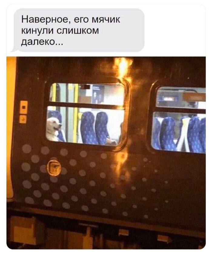 ������� ������ ����� ��� ���������� (35 ����)