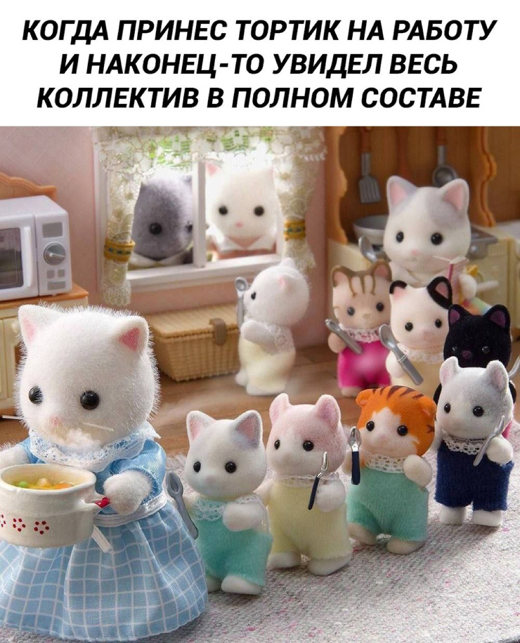 ������� ������ ����� ��� ���������� (35 ����)