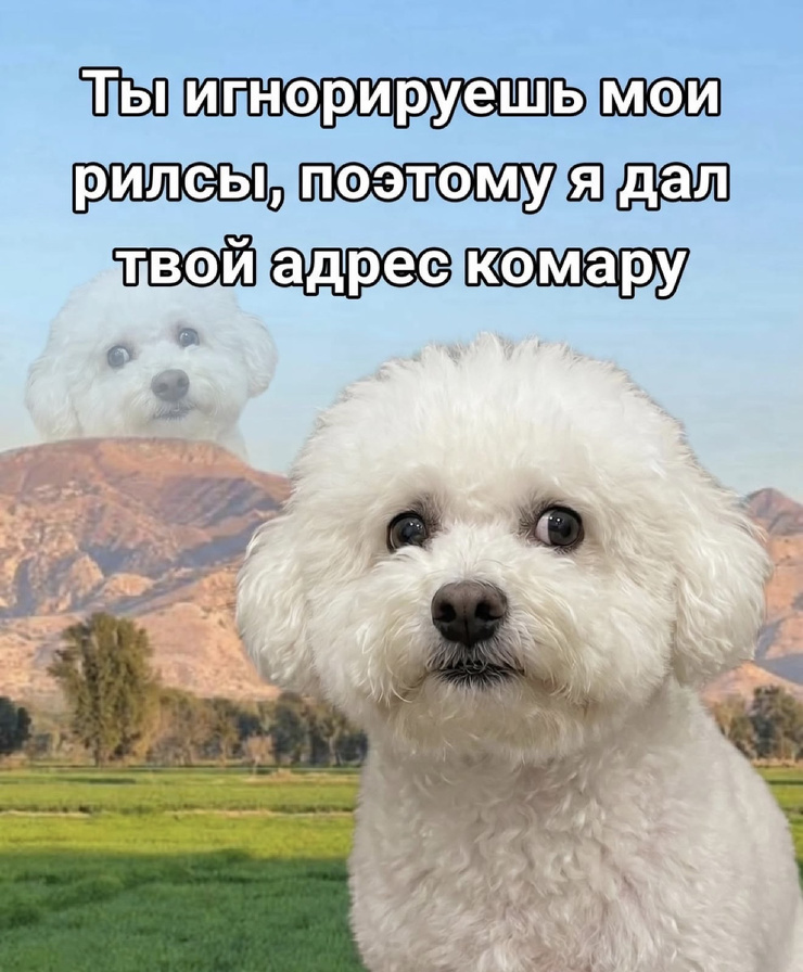 ������� ������� � ���� �� ���� (35 ����)