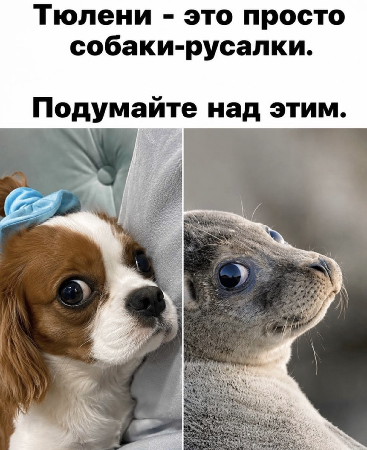 ������� ������� � ���� �� ���� (35 ����)