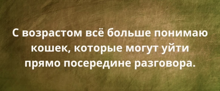 ������� ������� � ���� �� ���� (35 ����)