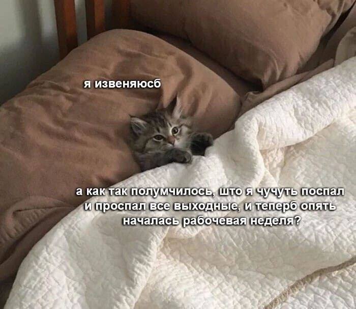 ������� ������� � ���� �� ���� (35 ����)