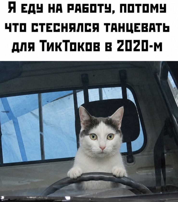 ������� ������� � ���� �� ���� (35 ����)