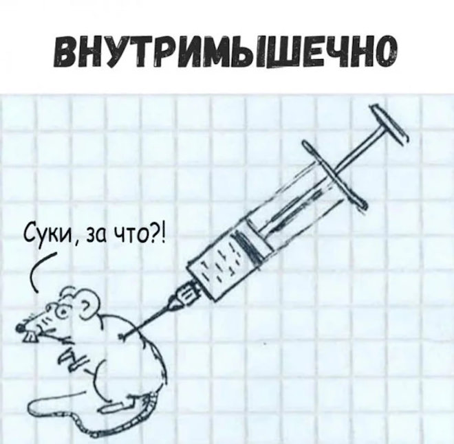 ������� ���� � ������� �� ���� (26 ����)