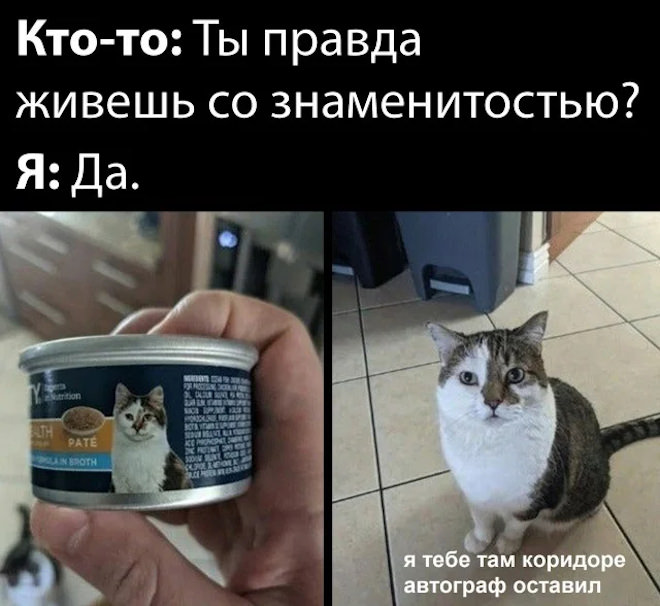 ������� ���� � ������� �� ���� (26 ����)
