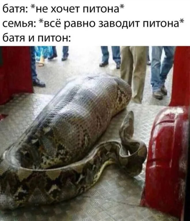 ������� ���� � ������� �� ���� (26 ����)