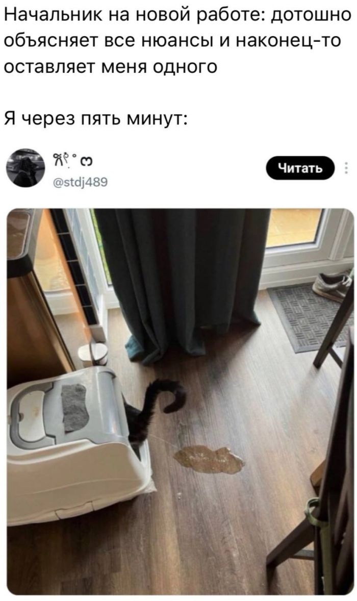 ���������! ������� ���� � ������� ��� ���������� (30 ����)