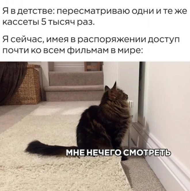 ���������! �������� ������ �������� � ����� (35 ����)