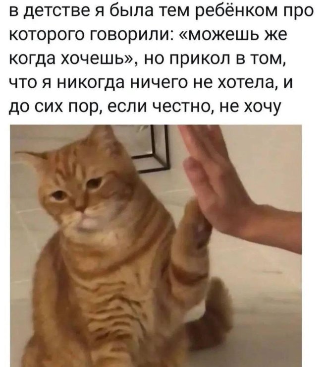 ���������! �������� ������ �������� � ����� (35 ����)