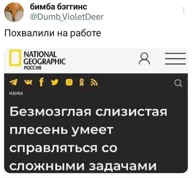 ���������� ���� � ������� ��� ���������� (32 ����)