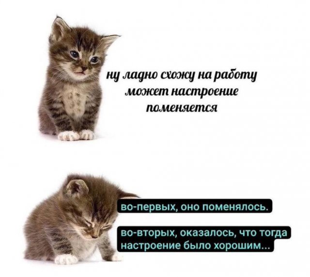 ���������� ���� � ������� ��� ���������� (32 ����)