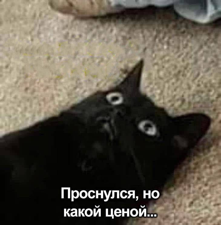 ���������� ���� � ������� ��� ���������� (32 ����)