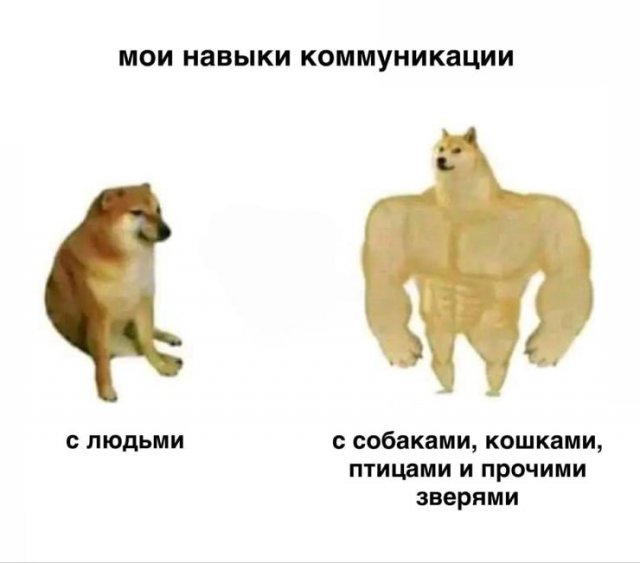 ���������� ���� � ������� ��� ���������� (32 ����)
