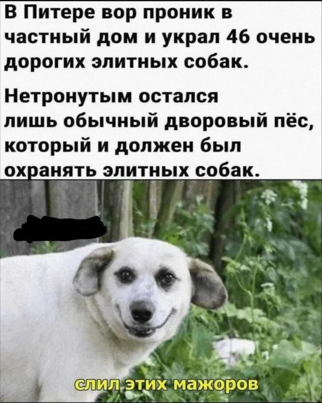 ���������� ���� � ������� ��� ���������� (32 ����)