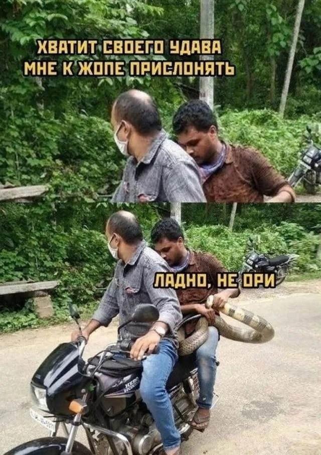 ���������� ���� � ������� ��� ���������� (32 ����)