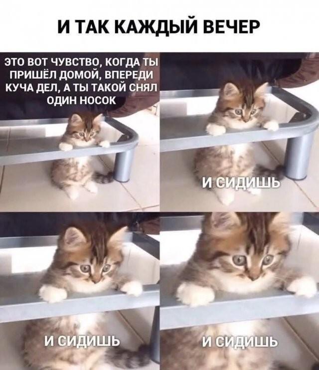 ���������� ���� � ������� ��� ���������� (32 ����)