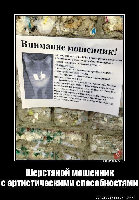 ������������ ������������ (15 ����)