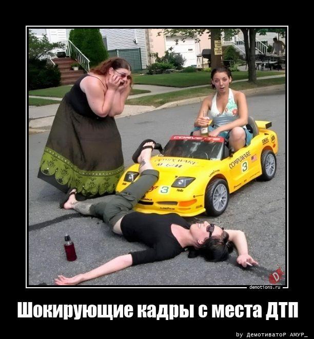 ������������ ������������ (15 ����)