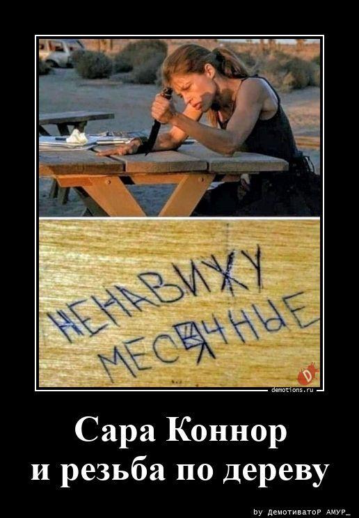 ������������ ������������ (15 ����)