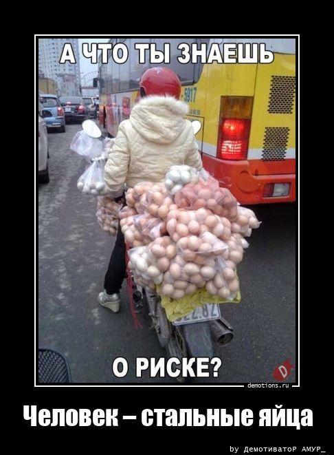 ������������ ������������ (15 ����)