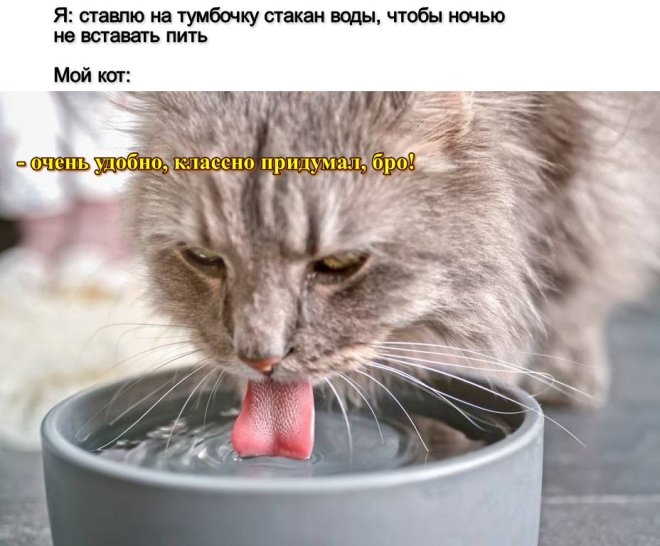 ������� ����� � �������� ��� ���������� (40 ����)