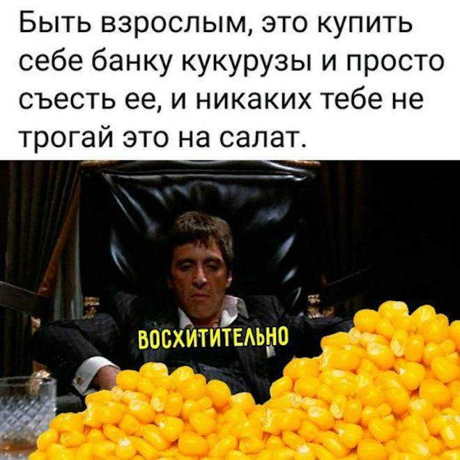 ������� ����� � �������� ��� ���������� (40 ����)