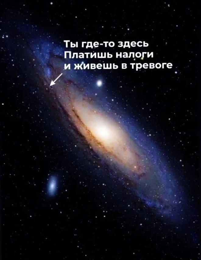 ������� ����� � �������� ��� ���������� (40 ����)