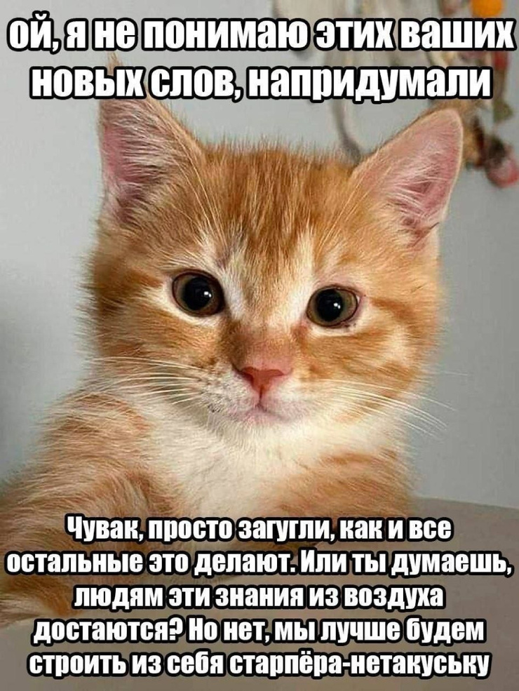 ������� ����� � �������� ��� ���������� (40 ����)
