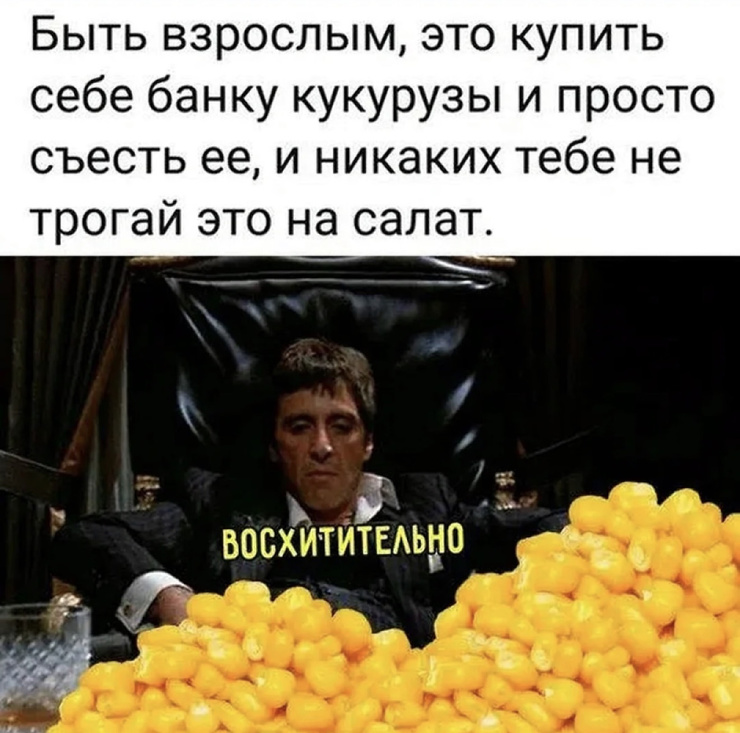 ������� ����� � �������� ��� ���������� (40 ����)