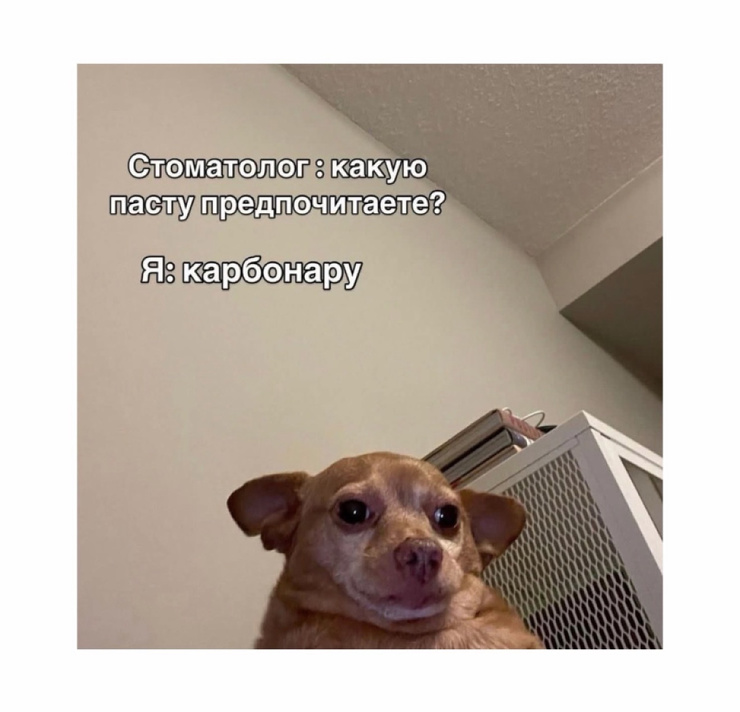 �������� ������ ����� � �������� ��� ���������� (28 ����)