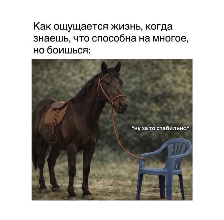 �������� ������ ����� � �������� ��� ���������� (28 ����)