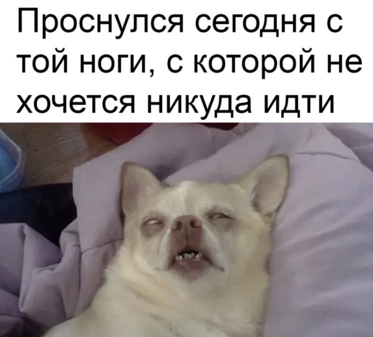 �������� ������ ����� � �������� ��� ���������� (28 ����)